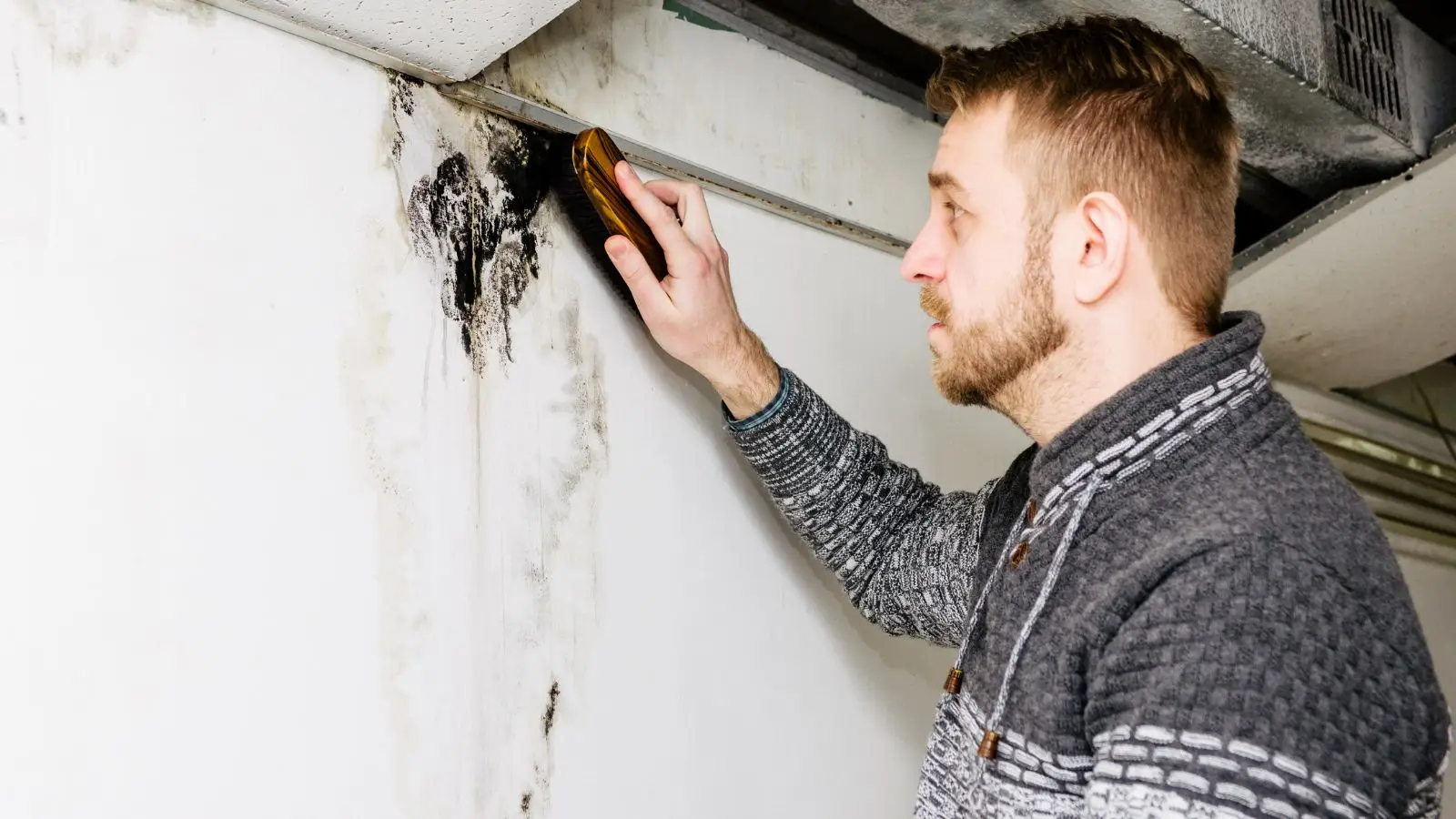 Hidden Dangers of DIY Mold Removal