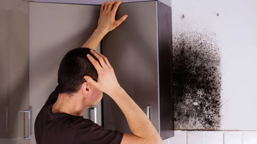10 Signs You Have a Mold Problem in Central New York—And What to Do About It