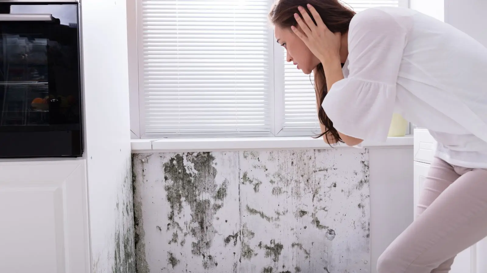 Is Mold Hiding in Your Home