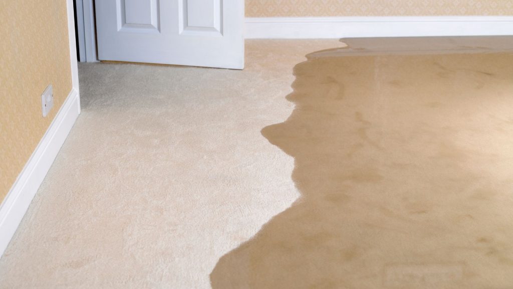 Wet carpet from flooding in Central New York home showing water damage risk