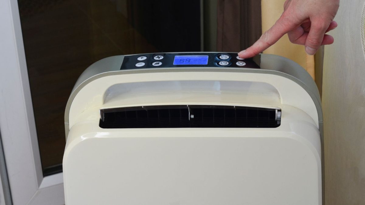 How Dehumidifiers Prevent Mold in Central New York Homes