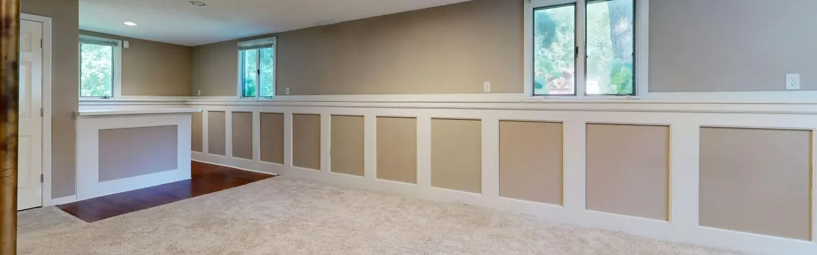 remove, repair basement mold